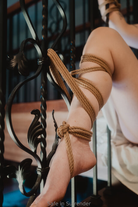 Safeinsurrender pornostar akt bild