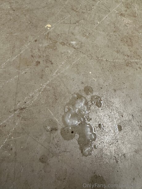 Brodenv pornostar schöne archiv