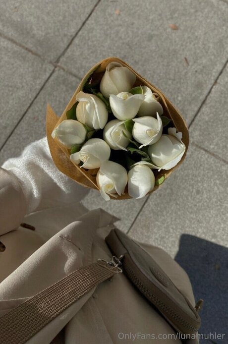 Lunamuhler pornostar beste archiv