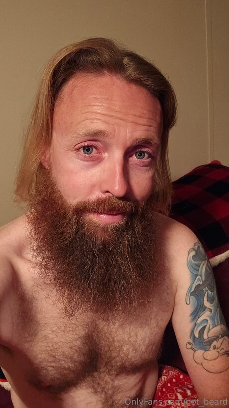 Hot Beard kostenlose exklusive bild