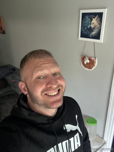 Davidgames perfekte kostenlose bilder