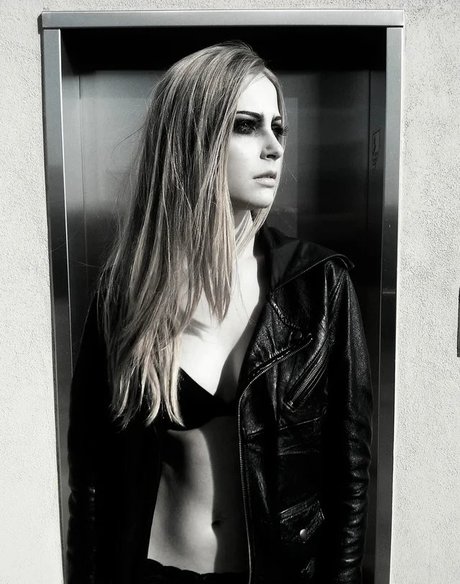 Stevie Wynne Levine hd kunst galerie