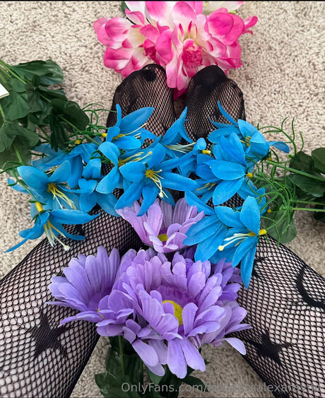 Goddessalexarayne perfekte sexy fotos