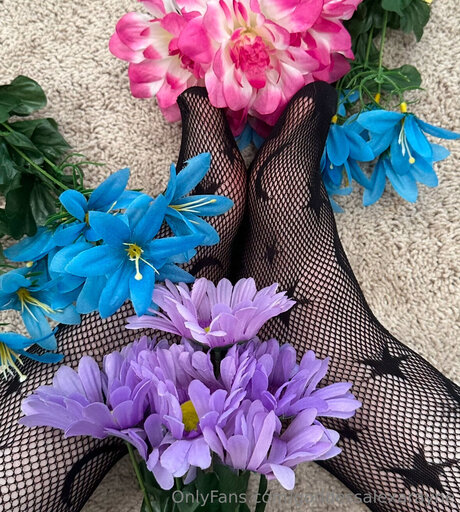 Goddessalexarayne xxx erwachsene galerien