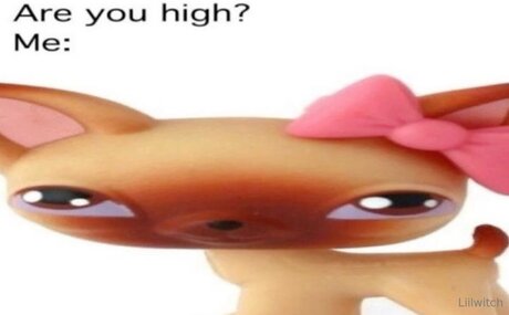 Liilwitch pornostar sex foto