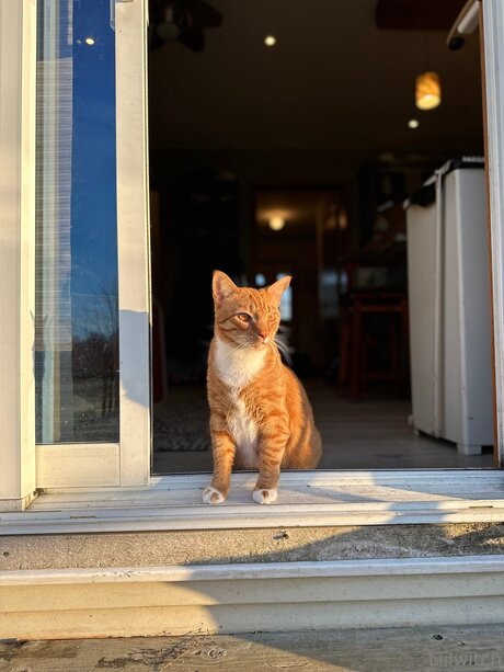 Liilwitch hd top bilder