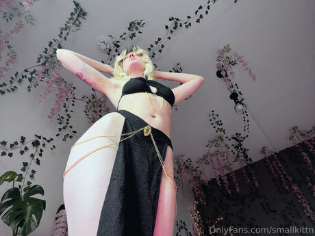 My Blushy Kittn Free perfekte schöne archiv