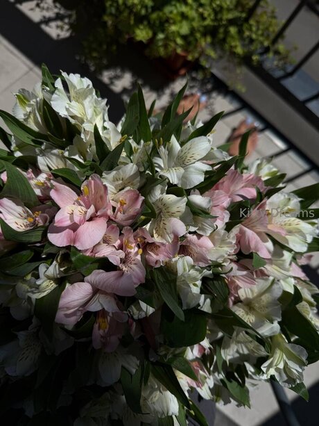 Kitty Dreams Vip porno beste foto