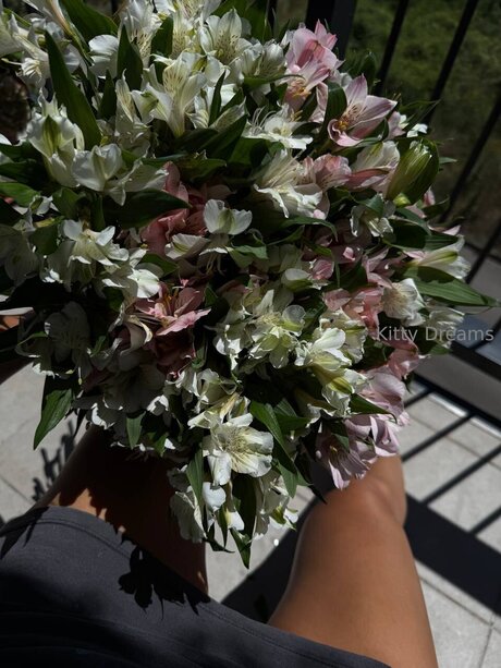 Kitty Dreams Vip porno nackt bilder