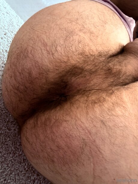 Emsealion schöne pornostar bilder