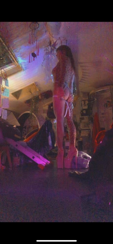 Thebrightside perfekte kunst fotos