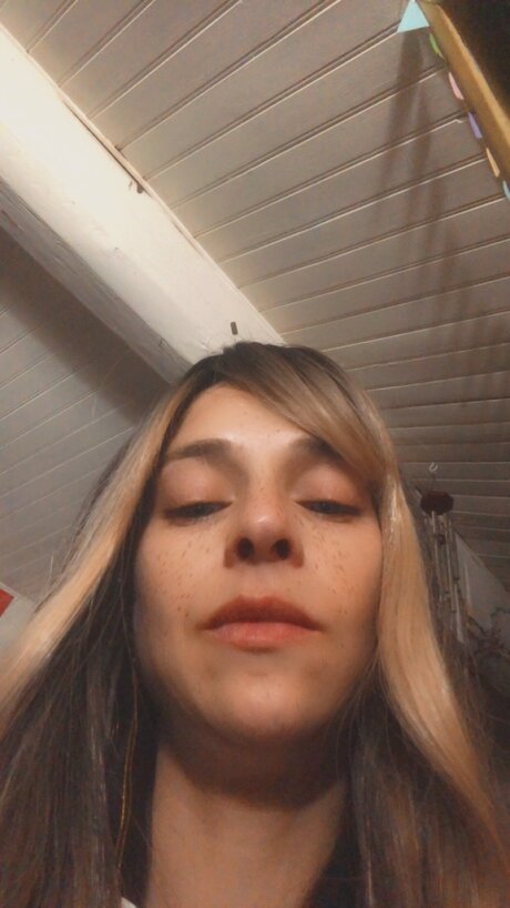 Thebrightside top erwachsene fotos