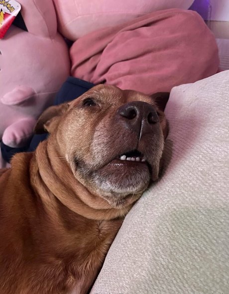 yogendub schöne nackte bild