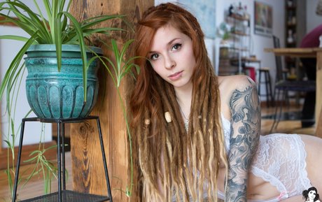 Fennek hübsche heiße archiv