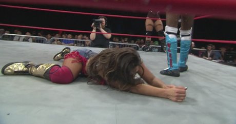 Mickie James kunst schöne galerien