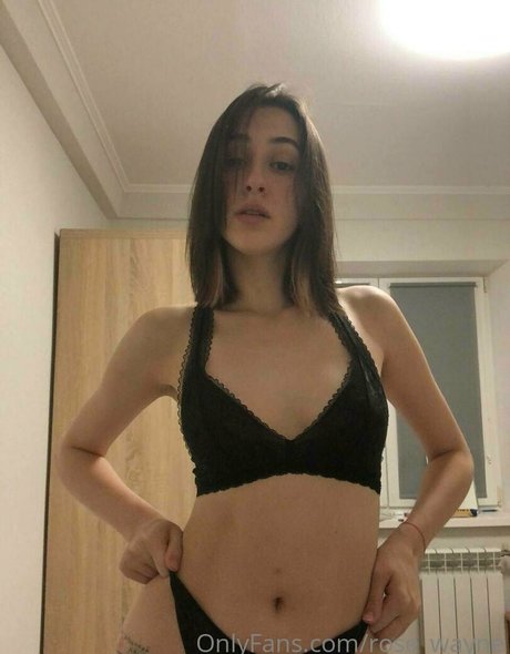 rose wayne perfekte erwachsene bilder