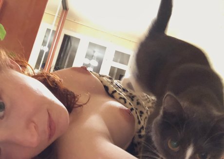 schlampiger blowjob nur fans heiße pornographische archiv