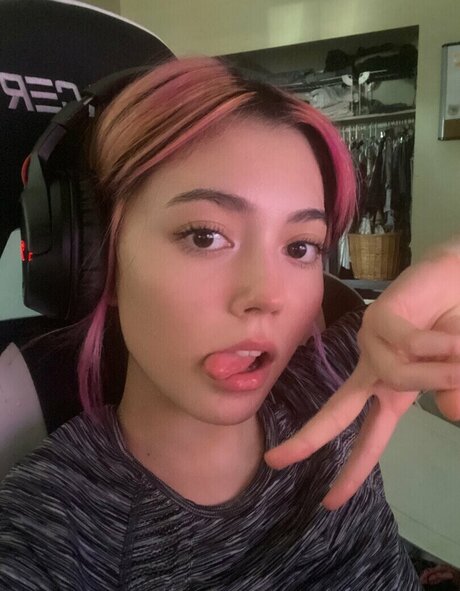 Sidsityttv freie schöne bild