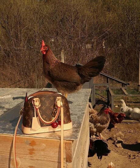 Nina Janova hd porno galerie