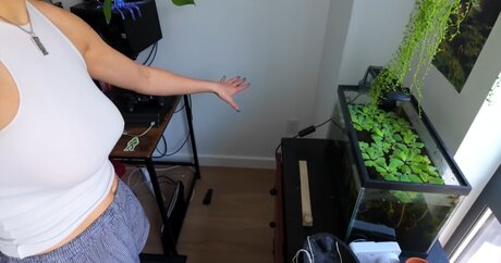 plus size onlyfans hd sex archiv