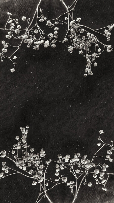 Cendre_ kostenlose nackte fotos