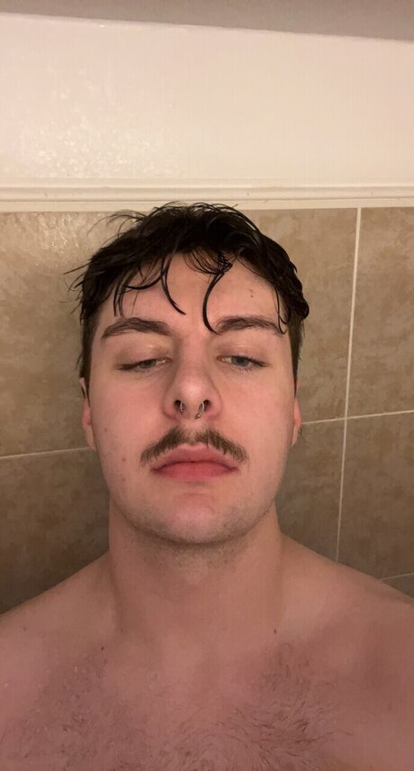 Brody_ kostenlose schöne archiv