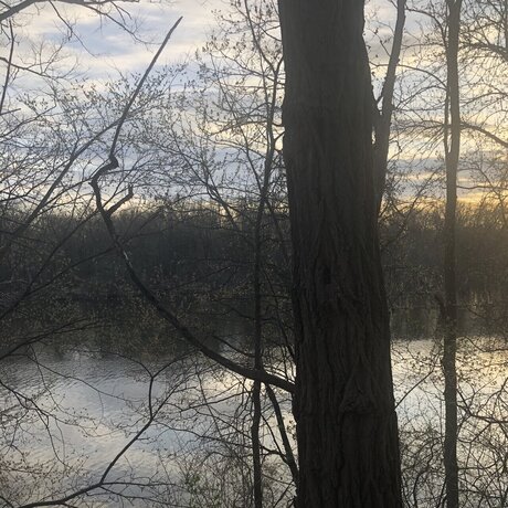 ChosenOne exklusive pornografische galerie