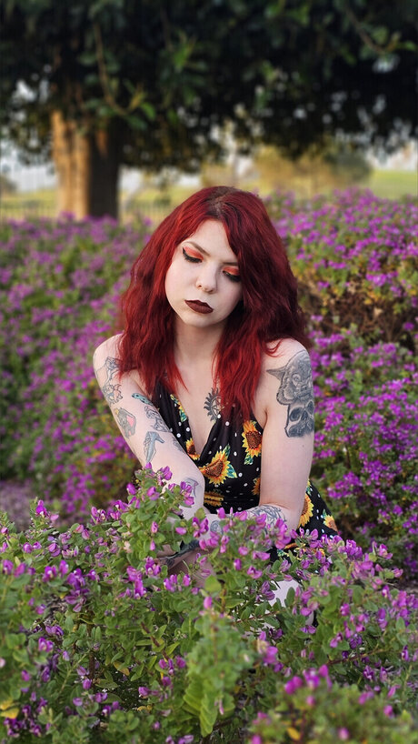 Crimsonaddams sex pornostar galerien