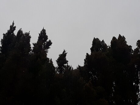 ChemicalXBoy schauspielerin hübsche bilder