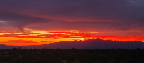Matthew Alequin kostenlose schöne foto