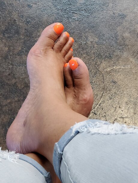 FelecityXL_ exklusive beste bild