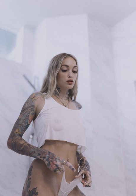 Torrie Blake schöne pornostar archiv
