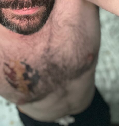 Gibbo bear erotische xxx fotos