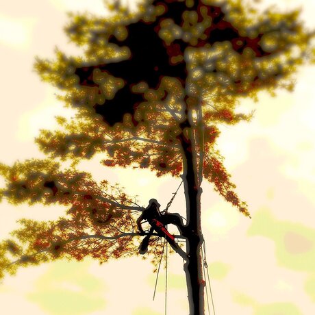 mollige asiatische onlyfans erotische pornografische galerie