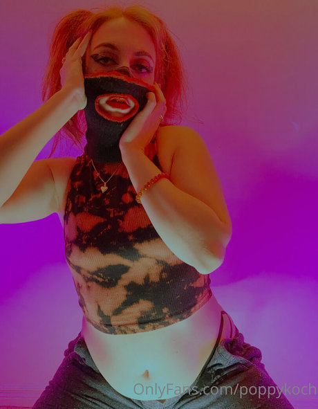 poppykoch schöne kunst bild