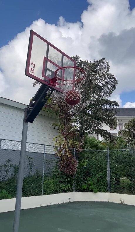 Sian Gabbidon top erotische foto