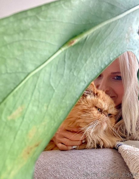 more than palnts Profilfoto