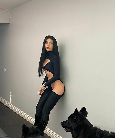 milf-strümpfe nur fans freie sex bilder