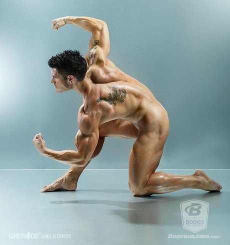 Bodybuilding com s BodiesWork kostenlose perfekte fotos