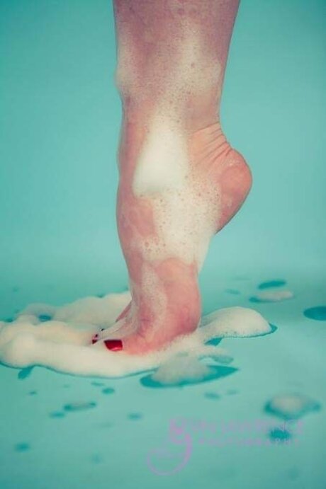 Dainty Delights hd kunst bilder