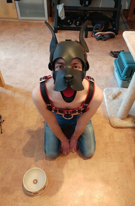 PupDexi model nackte galerie