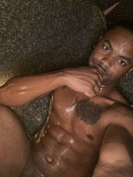 Wayne Hutchinson hd schöne galerie