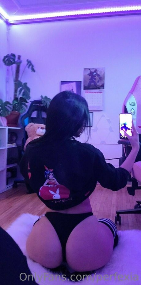 Perfexia exklusive kunst fotos