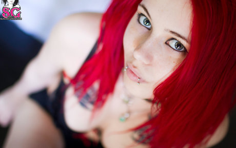 Felynx freie perfekte galerie