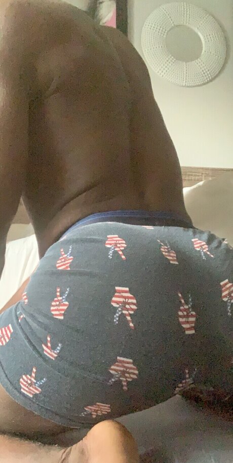 DBrown perfekte kunst fotos