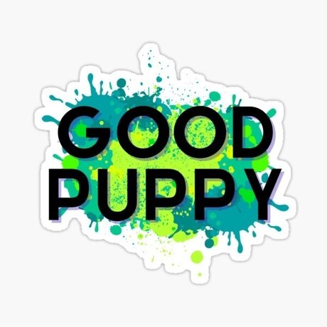 Cricket beste exklusive galerie