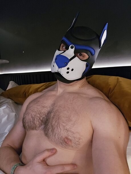 pupbuday perfekte hd fotos