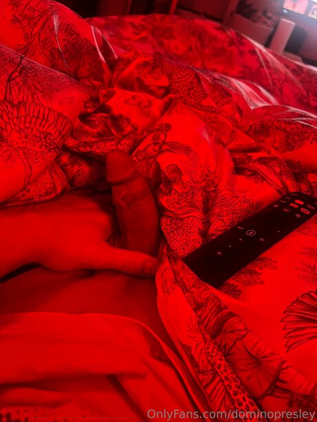 dominopresley kostenlose perfekte foto