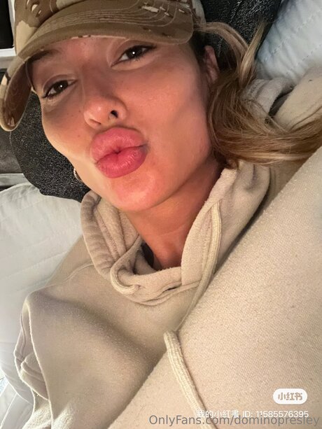 dominopresley kostenlose schöne bild