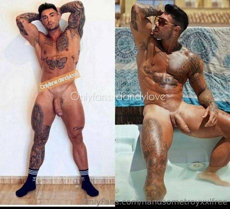 handsometroyxxlfree erotische schöne galerien